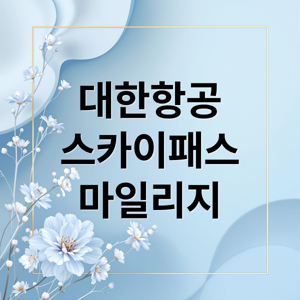 대한항공
스카이패스
마일리지 (대한항공 마일리지 스카이패스 사용법)
