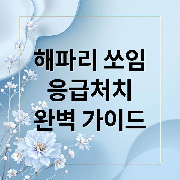 해파리 쏘임
응급처치
완벽 가이드 (해파리 쏘임 응급처치)