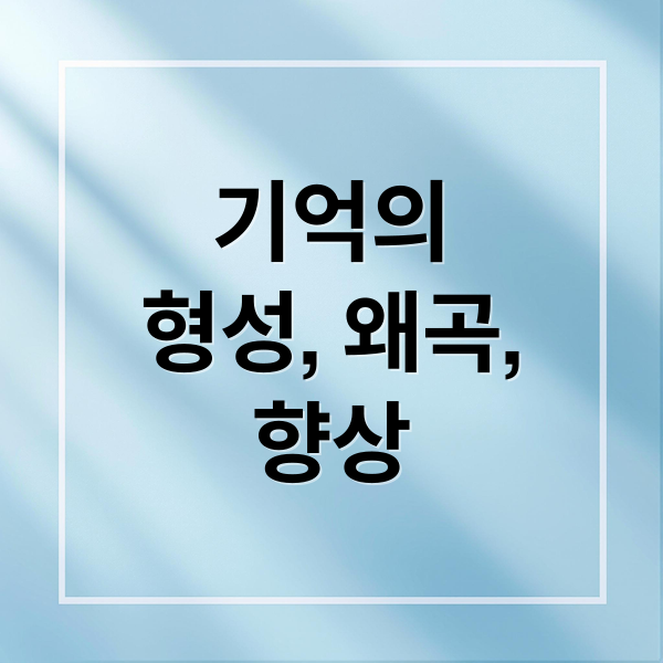기억의
형성, 왜곡,
향상 (사람의 뇌와 기억의 과학)