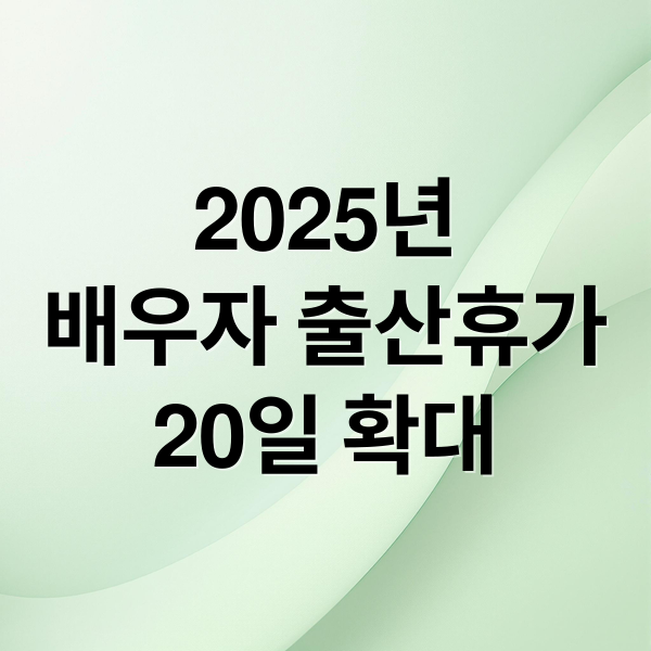 2025년
배우자 출산휴가
20일 확대 (배우자 출산휴가 급여신청)