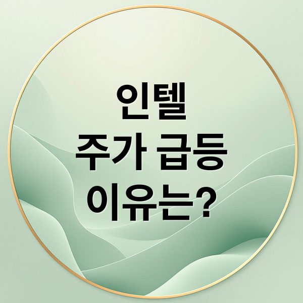 인텔
주가 급등
이유는? (인텔 주가 미정부 지분 인수)