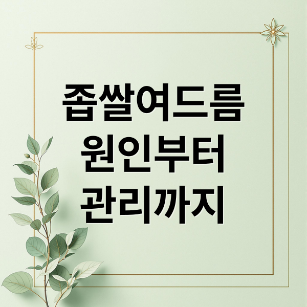 좁쌀여드름
원인부터
관리까지 (좁쌀 여드름 화장품)