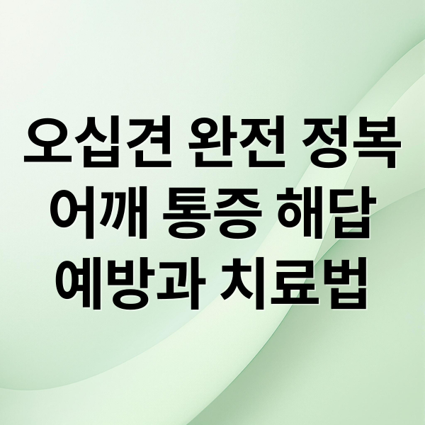 오십견 완전 정복
어깨 통증 해답
예방과 치료법 (오십견 증상 치료)