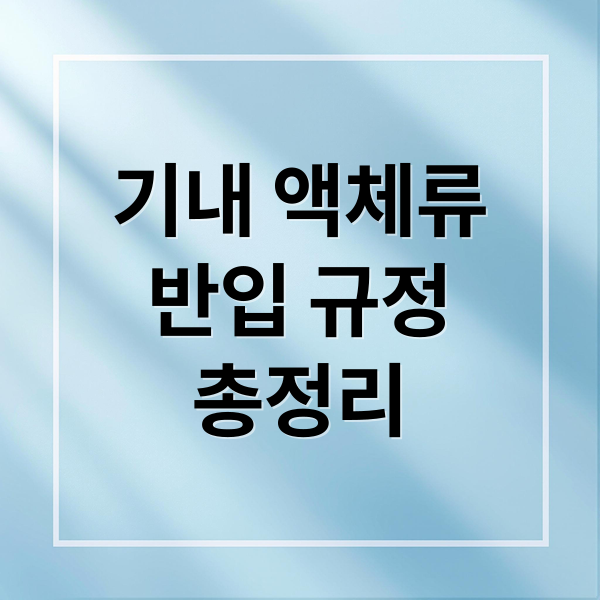 기내 액체류반입 규정총정리 (비행기 샴푸 기내 반입 규정)