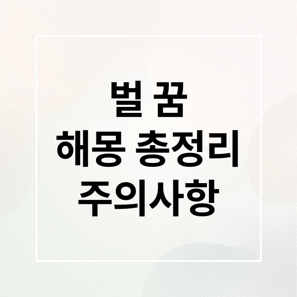 벌 꿈
해몽 총정리
주의사항 (벌 쏘이는 꿈 해몽 50가지)