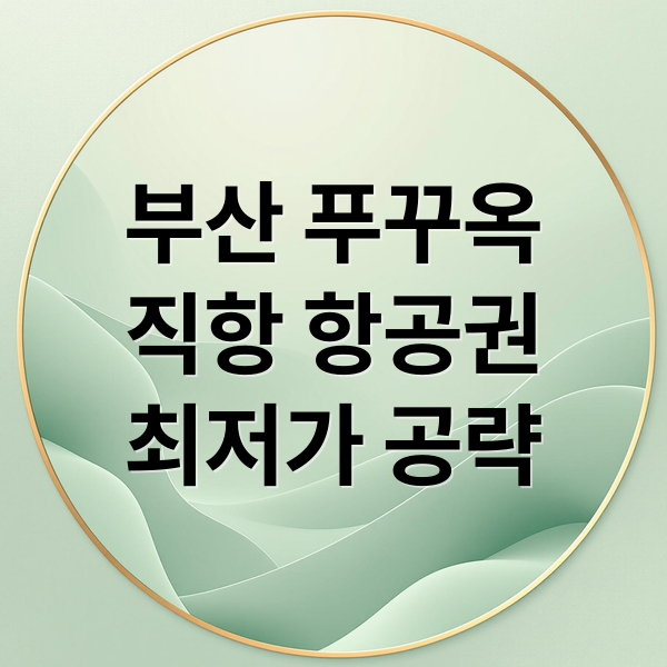 부산 푸꾸옥
직항 항공권
최저가 공략 (푸꾸옥 항공권 최저가 부산 직항)