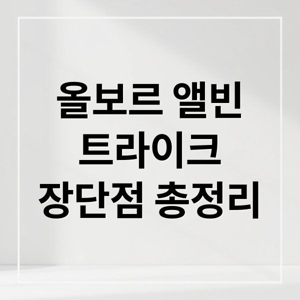올보르 앨빈
트라이크
장단점 총정리 (올보르 트라이크)