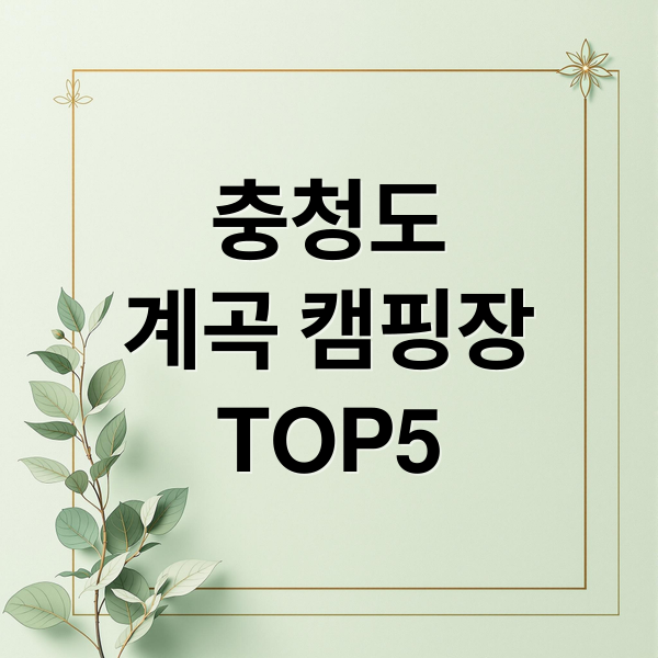 충청도
계곡 캠핑장
TOP5 (여름휴가 충청도 최고의 캠핑장)