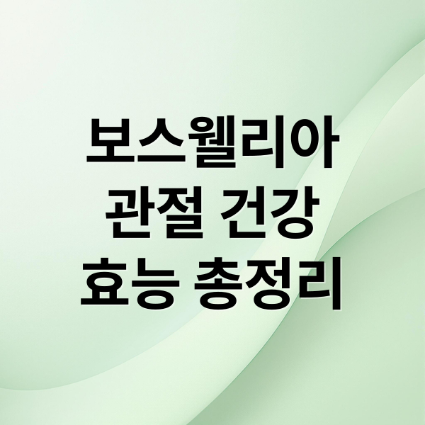 보스웰리아
관절 건강
효능 총정리 (보스웰리아 효능 관절염)