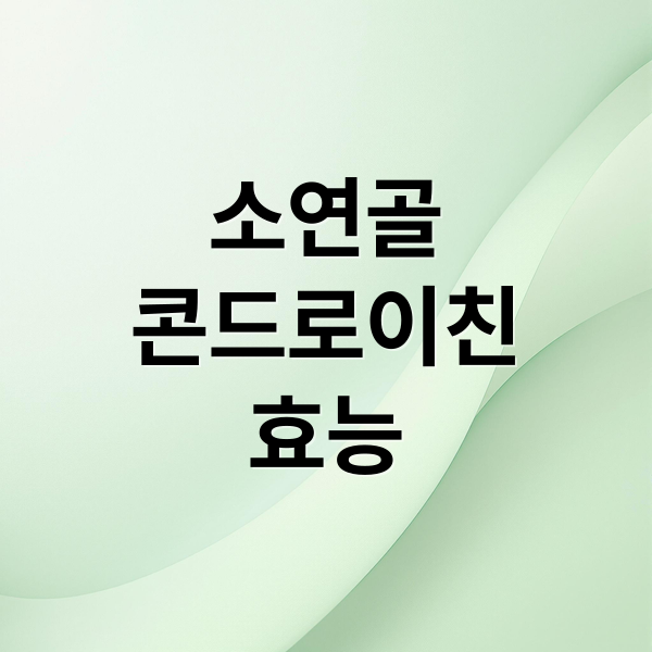 소연골
콘드로이친
효능 (소연골 콘드로이친 효능 부작용)