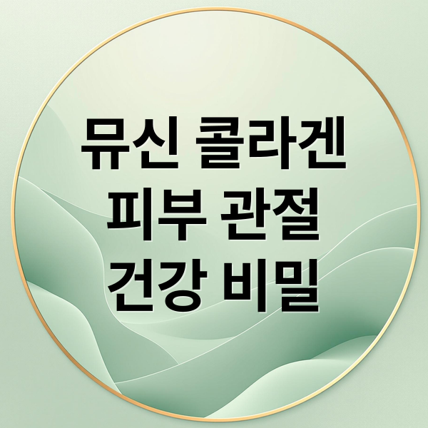 뮤신 콜라겐
피부 관절
건강 비밀 (뮤신 콜라겐 효능 부작용)