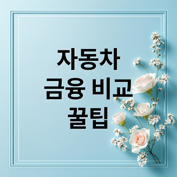자동차
금융 비교
꿀팁 (자동차 금융 금리 한도 비교)
