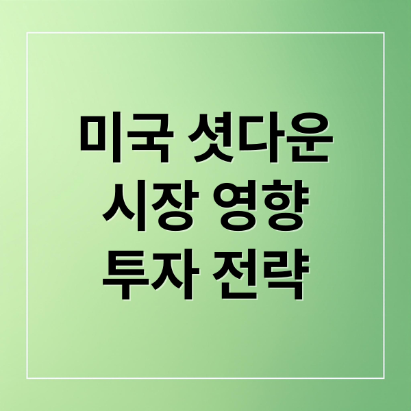미국 셧다운
시장 영향
투자 전략 (미국 셧다운 종료)
