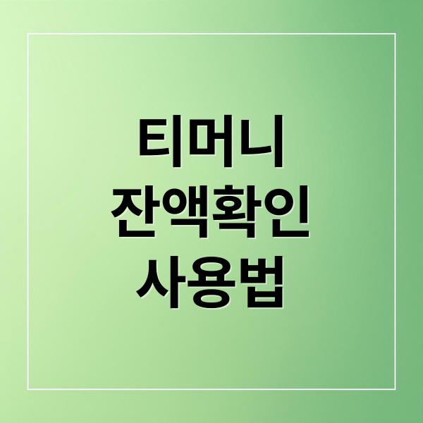 티머니
잔액확인
사용법 (티머니 홈페이지)