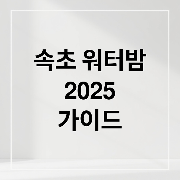 속초 워터밤
2025
가이드 (속초 워터밤 축제)
