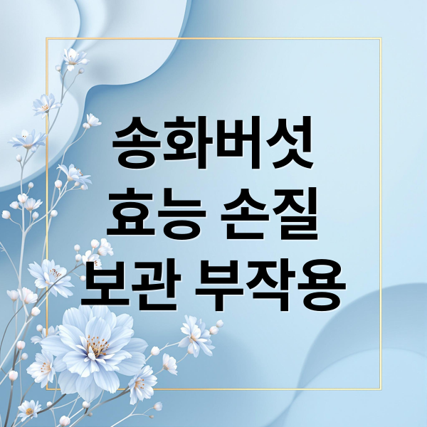 송화버섯
효능 손질
보관 부작용 (송화버섯 보관법 효능 부작용)