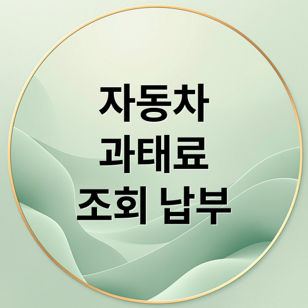 자동차
과태료
조회 납부 (자동차 과태료 조회 납부)