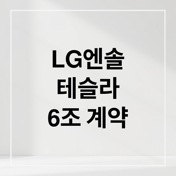 LG엔솔
테슬라
6조 계약 (lg엔솔)