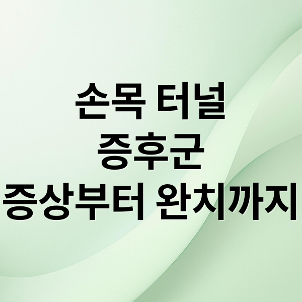 손목 터널
증후군
증상부터 완치까지 (손목 터널 증후군 증상 12가지)