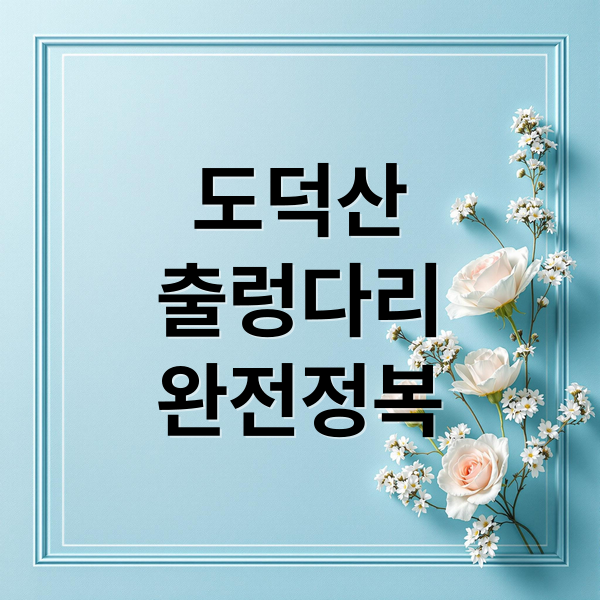 도덕산
출렁다리
완전정복 (도덕산 출렁다리)