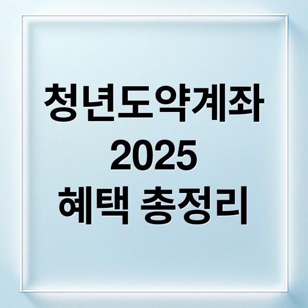 청년도약계좌
2025
혜택 총정리 (청년도약계좌 가입조건)