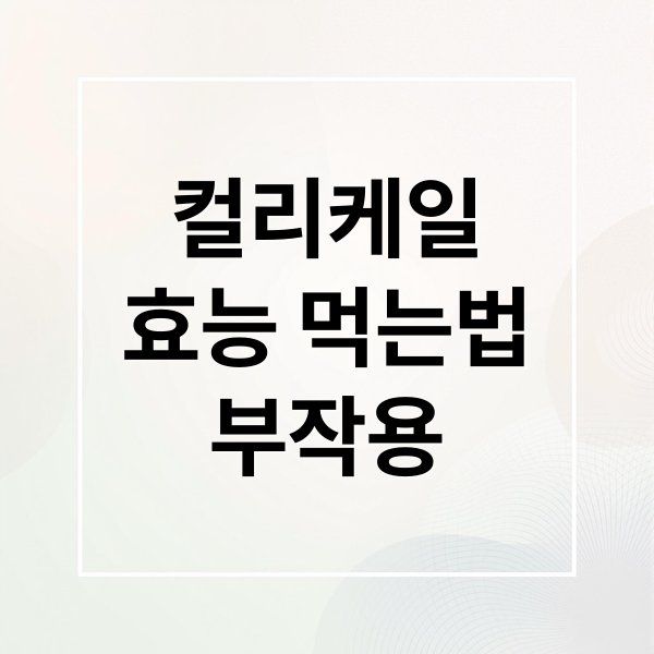 컬리케일
효능 먹는법
부작용 (컬리케일 효능 부작용)