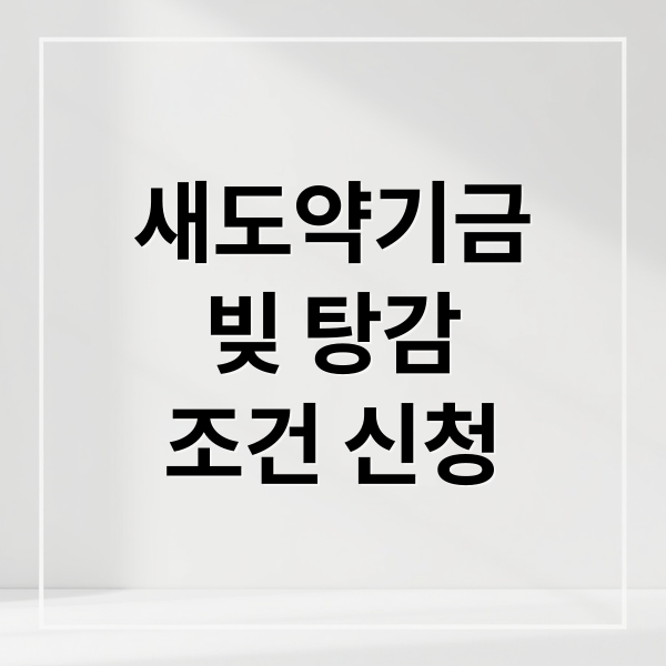 새도약기금
빚 탕감
조건 신청 (새도약기금 대상자 신청 방법)
