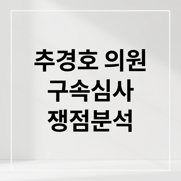 추경호 의원
구속심사
쟁점분석 (추경호 내란동조, 오늘 구속 심사)