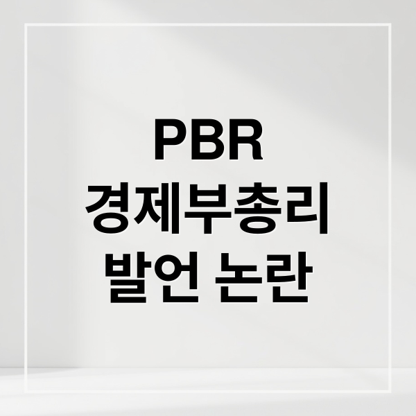 PBR
경제부총리
발언 논란 (경제부총리 PBR 개미 국장 탈출)