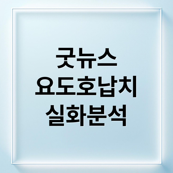 굿뉴스
요도호납치
실화분석 (굿뉴스 영화 실화)