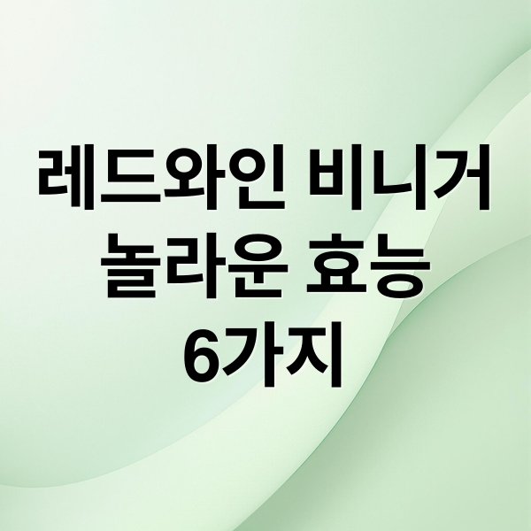 레드와인 비니거
놀라운 효능
6가지 (레드와인비니거 효능 활용법)