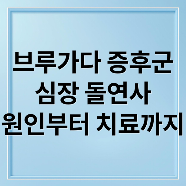 브루가다 증후군
심장 돌연사
원인부터 치료까지 (브루가다 증후군 원인 증상 치료)
