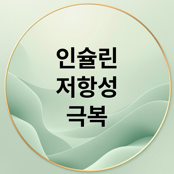 인슐린
저항성
극복 (다이어트 방법)