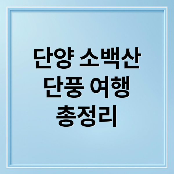 단양 소백산
단풍 여행
총정리 (단양 소백산 단풍 명소)