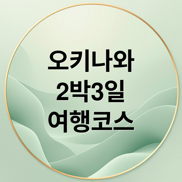 오키나와
2박3일
여행코스 (일본 오키나와 여행)