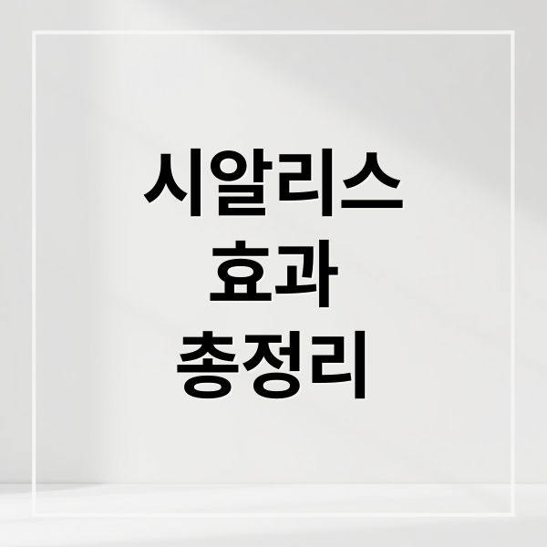 시알리스
효과
총정리 (시알리스)