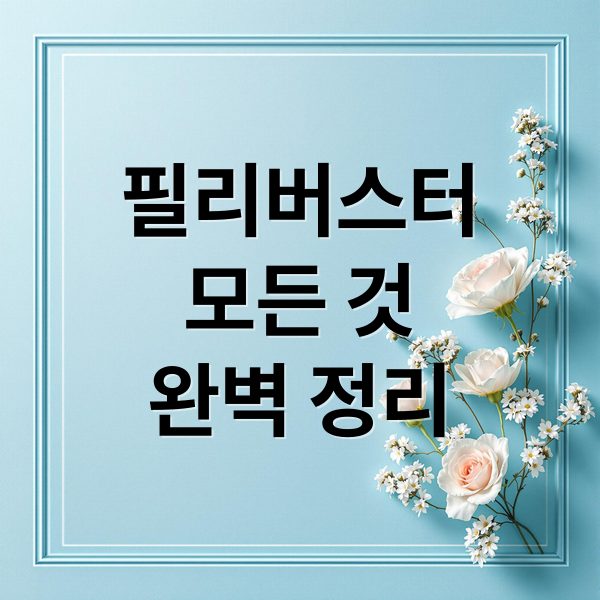 필리버스터
모든 것
완벽 정리 (필리버스터 뜻 순서 최장시간)