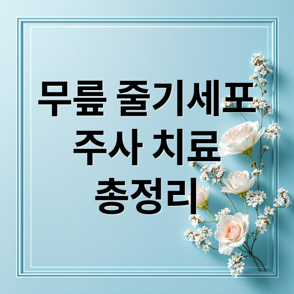 무릎 줄기세포
주사 치료
총정리 (무릎 줄기세포 주사 가격)