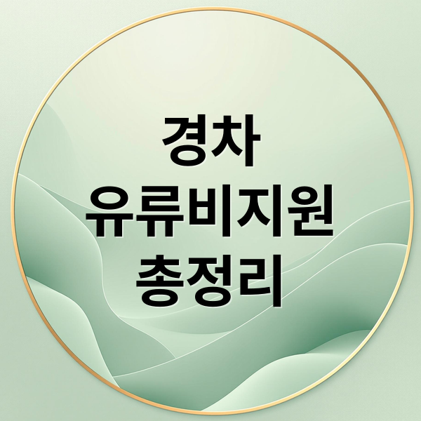 경차
유류비지원
총정리 (경차 유류비지원30만원 신청방법 경차사랑카드 기준 조건 카드 총정리)
