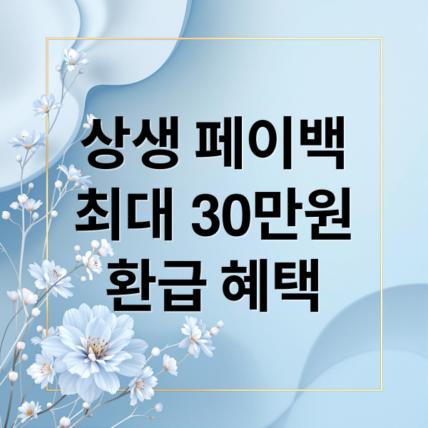 상생 페이백
최대 30만원
환급 혜택 (상생 페이백 신청은 15일부터)