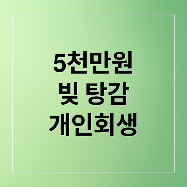 5천만원
빚 탕감
개인회생 (5000만원 이하 빚 탕감)