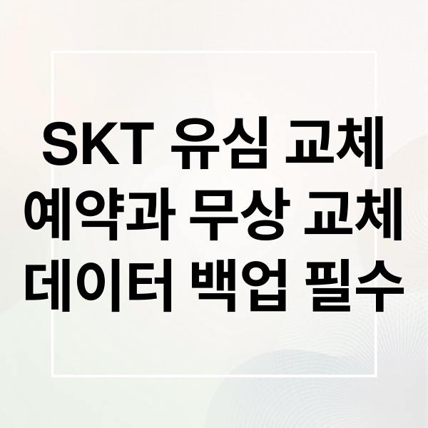 SKT 유심 교체
예약과 무상 교체
데이터 백업 필수 (SKT 유심 교체 예약)