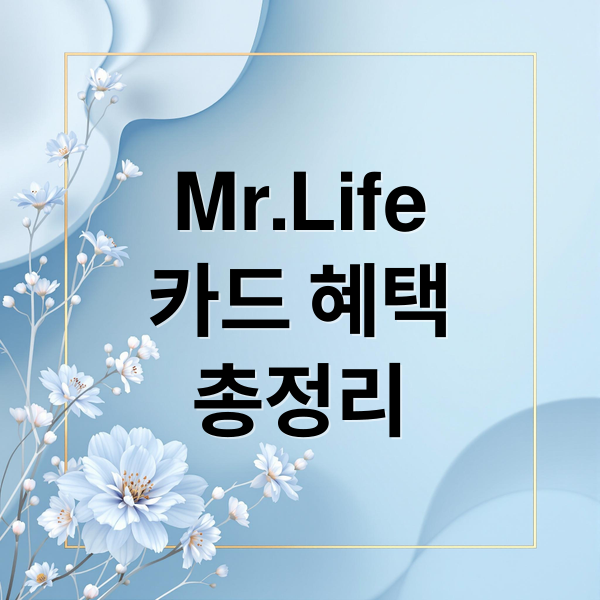 Mr.Life
카드 혜택
총정리 (신한카드 미스터라이프 캐시백)