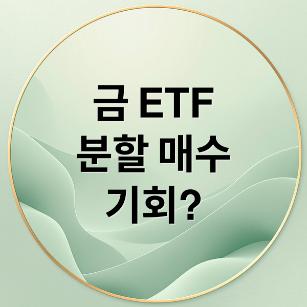 금 ETF
분할 매수
기회? (금 ETF 분할 매수)