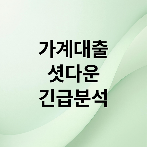 가계대출
셧다운
긴급분석 (가계대출 셧다운 4대 은행)