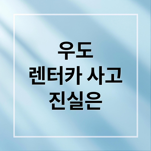 우도
렌터카 사고
진실은 (제주 우도 13명 사상 승합차 돌진사고)