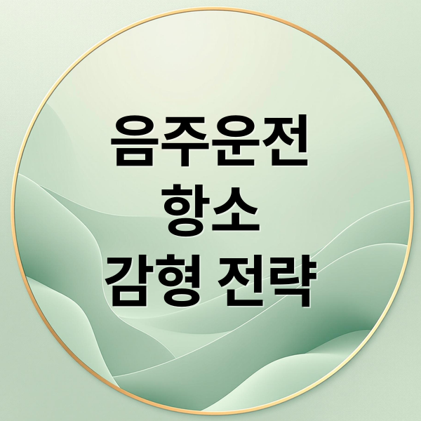 음주운전
항소
감형 전략 (음주운전 항소 감형 방법)