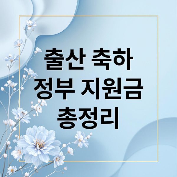 출산 축하
정부 지원금
총정리 (신생아 출산 후 꼭 신청해야 할 지원 제도 한눈 정리)