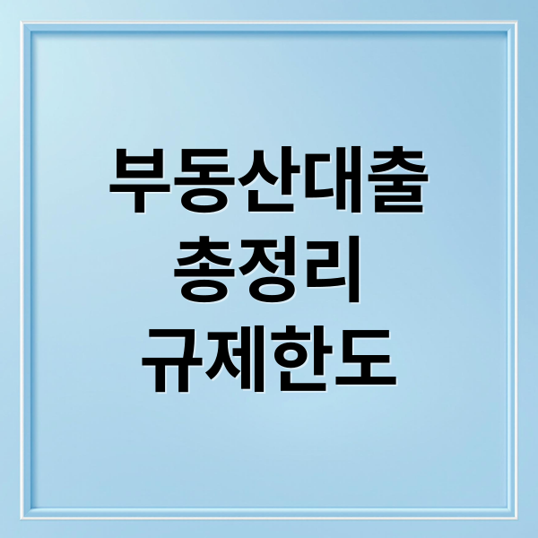 부동산대출
총정리
규제한도 (부동산 대출)
