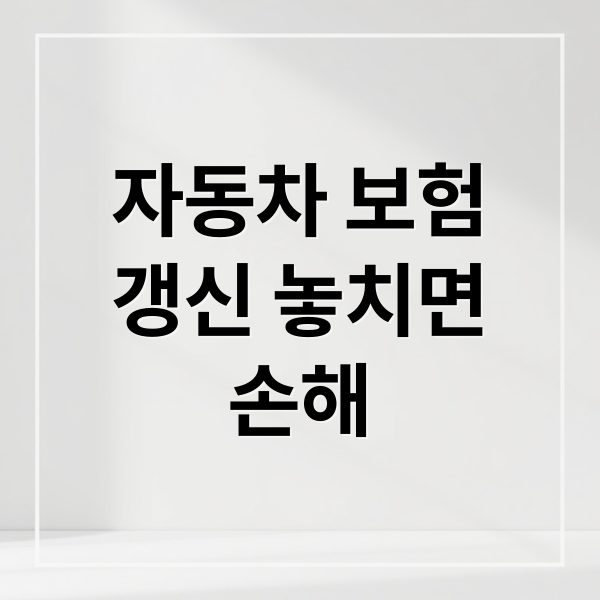 자동차 보험
갱신 놓치면
손해 (자동차 보험 갱신 시기)